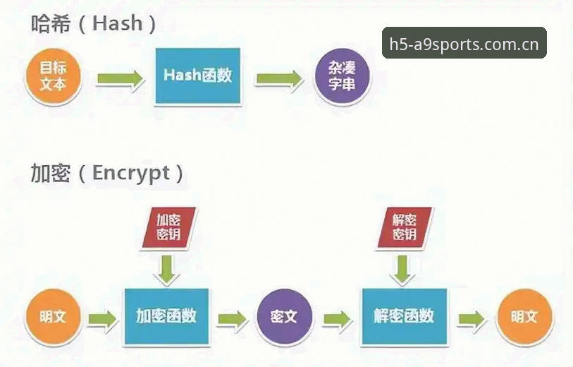 a9体育平台中国区深度评测：从赛事检索到数据同步的效率革命